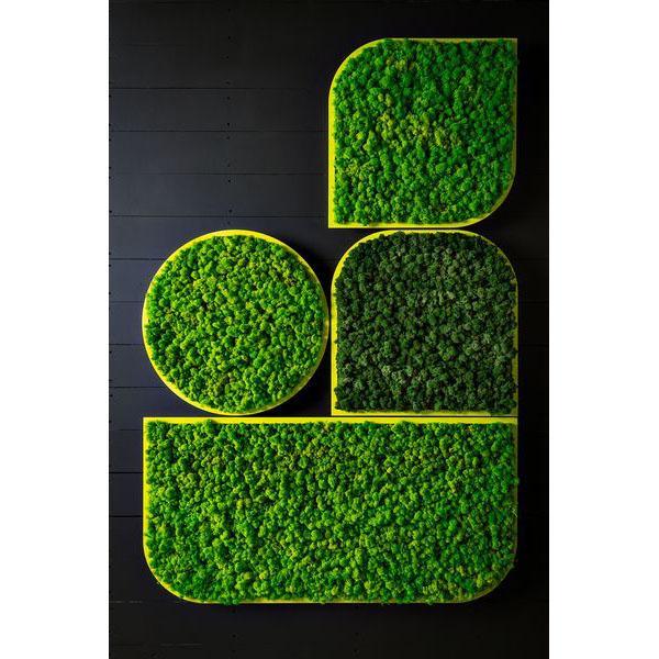 Grosser, Mural, Tranquilité, Vegetale, Vert BuzziMood Mousse par Buzzi Space, vous est proposé par 37+ Design, le premier site dédié au Home Office et au télétravail en Europe
